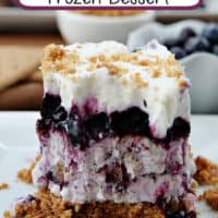 A slice of frozen blueberry dessert on a white plate.