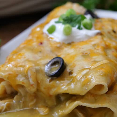 A white plate with three chicken enchiladas on it.
