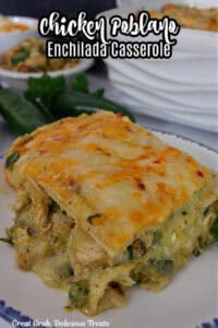 A serving of chicken enchilada on a white plate.