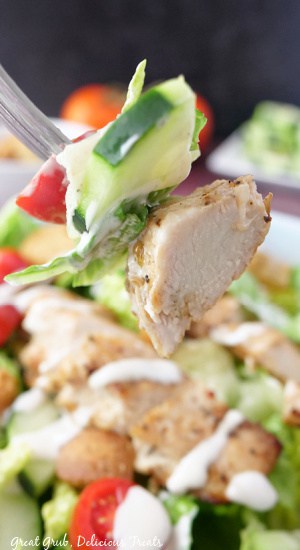Grilled Chicken Salad is a simple and easy salad recipe that is loaded with marinated chicken over a bed of crisp lettuce, topped with ranch dressing and croutons. A bite of salad with a slice of cucumber and a piece of diced chicken.