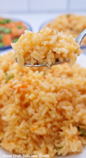 A spoonful of rice.