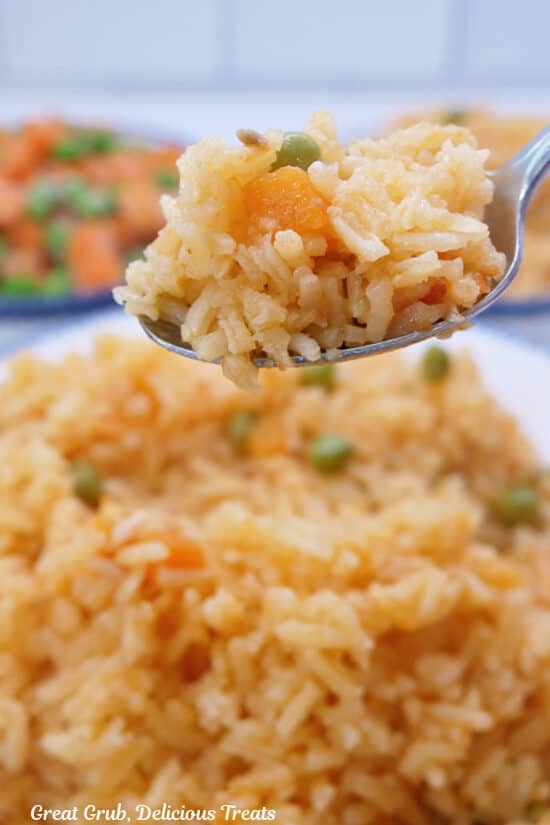 A spoonful of rice.