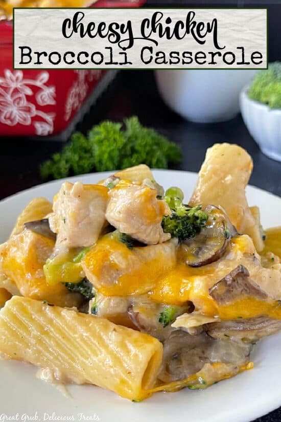 A white plate with chicken broccoli casserole on it.