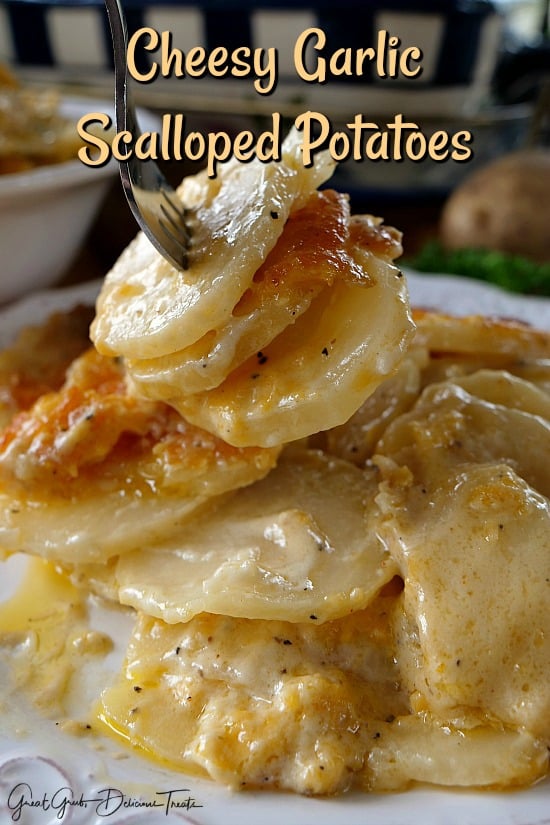 A close up of a white plate with a serving of Scalloped Potatoes on it and a fork piercing three potatoes.