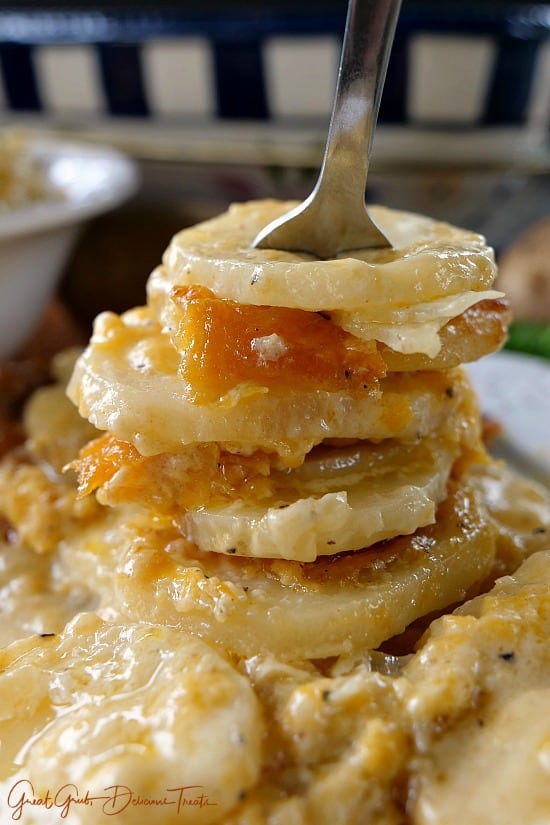 Cheesy Garlic Scalloped Potatoes from Great Grub, Delicious Treats A close up photo of a bite of Cheesy Garlic Scalloped Potatoes.