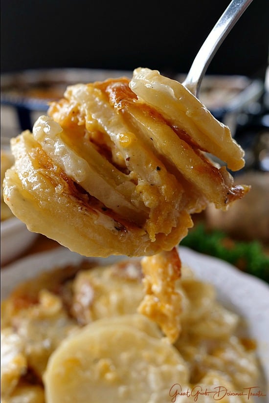 Cheesy Garlic Scalloped Potatoes are a perfect side dish loaded with three different types of cheese A forkful of creamy, cheesy garlic scalloped potatoes.