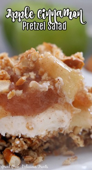 Apple Cinnamon Pretzel Salad is a deliciously creamy layered dessert with a pretzel crust, a cream cheese filling and topped with an apple cinnamon and pretzel topping. A close up photo of a piece of Apple Cinnamon Pretzel Salad on a white plate with the title of the recipe at the top of the photo.
