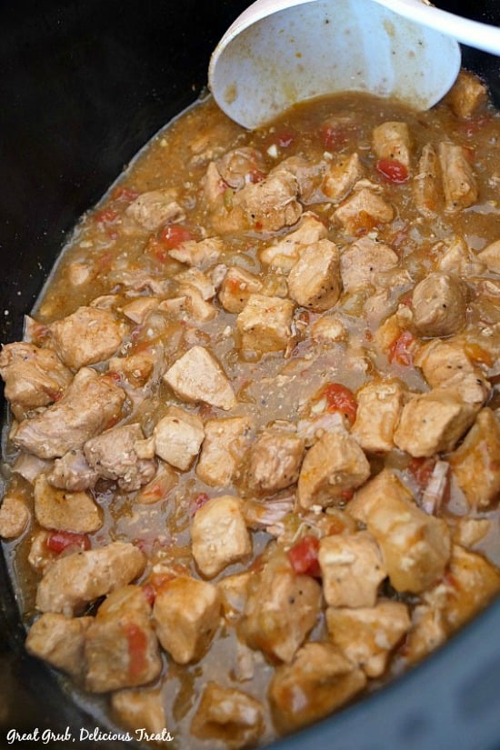 Crock Pot Boneless Pork and Rice is an easy slow cooker pork recipe that is super flavorful and delicious.